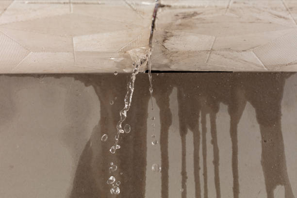 Professional Flood Damage Cleanup technician working in Willow Grove, TX